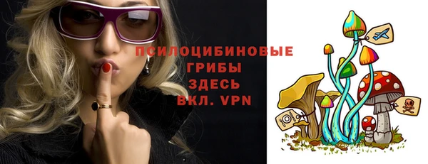 прущие крисы Мегион