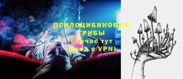 дживик Магас