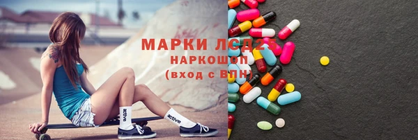 гидра Михайловка