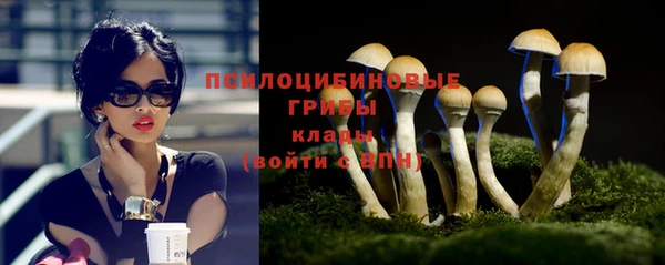 экстази Медвежьегорск