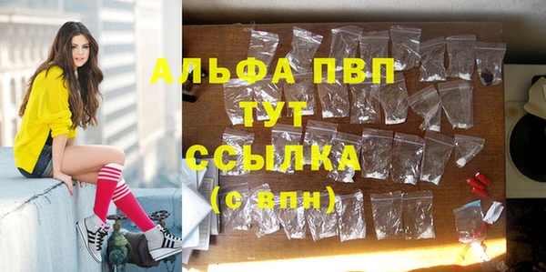 прущие крисы Мегион