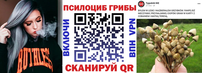 купить наркотики сайты Новоалтайск Галлюциногенные грибы Cubensis