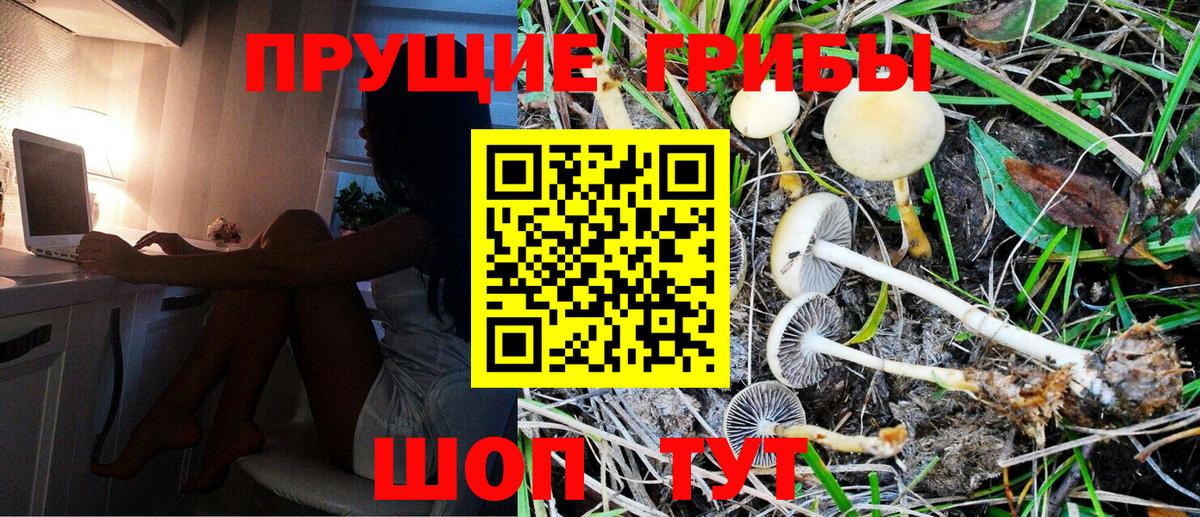 Галлюциногенные грибы мицелий  Новоалтайск  Галлюциногенные грибы Cubensis 