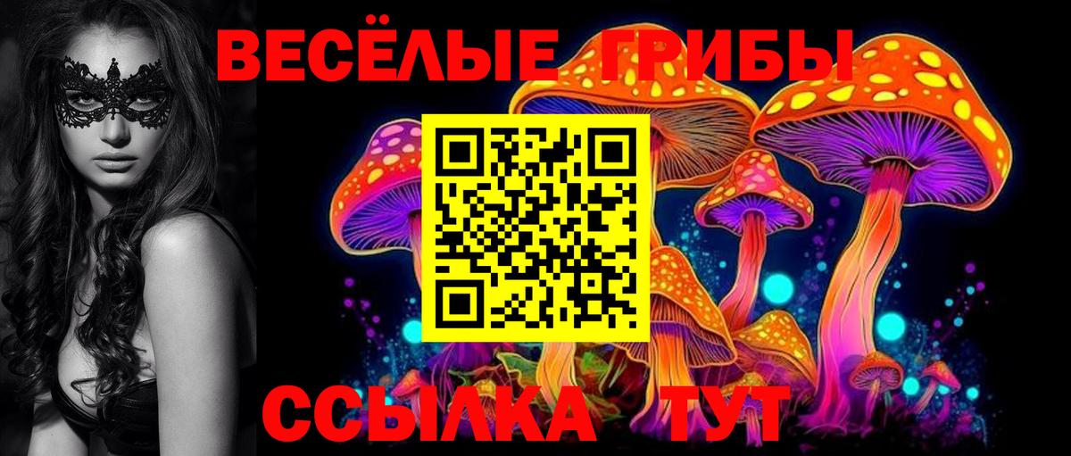 Галлюциногенные грибы MAGIC MUSHROOMS Новоалтайск