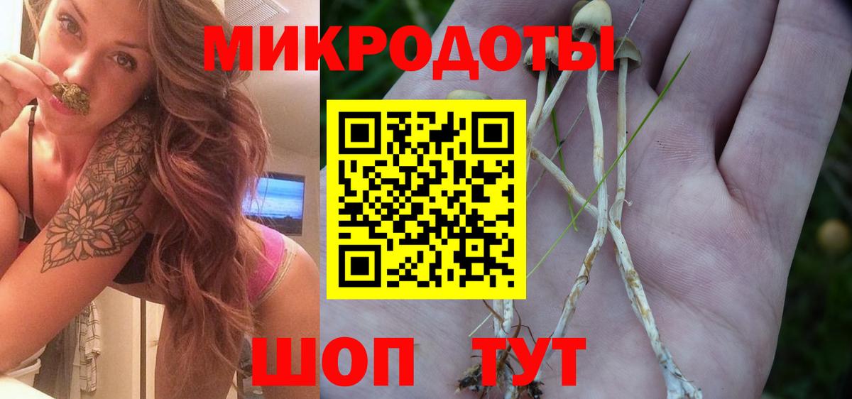 Галлюциногенные грибы Magic Shrooms  Вход с VPN  Новоалтайск 