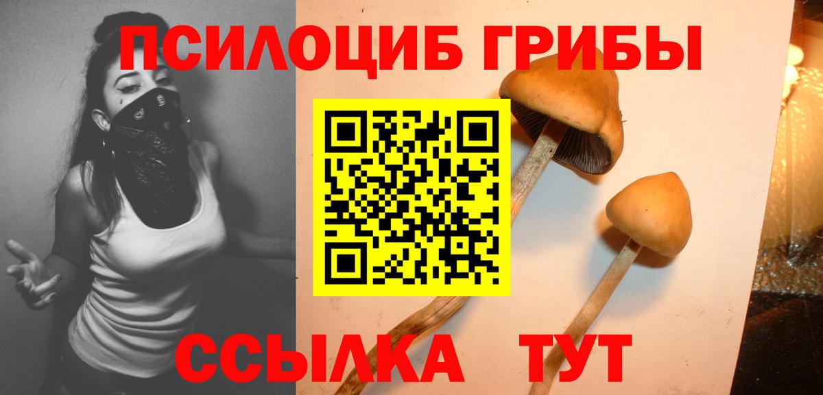Галлюциногенные грибы GOLDEN TEACHER Новоалтайск